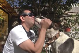 Колишній маркетолог годує бездомних собак у Ла-Пасі під час карантину