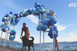 У Хорватії собаки змагаються в тріатлоні