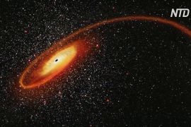Нобелівську премію з фізики присудили за вивчення чорних дір