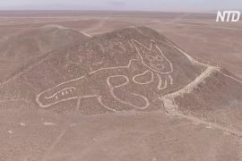 У Перу знайшли гігантське зображення кішки, якому понад 2000 років