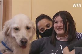В Іспанії собаки-терапевти вийшли на службу в школи