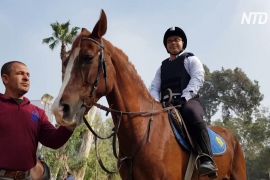 У Єгипті коні допомагають дітям із вадами розвитку поліпшити самопочуття