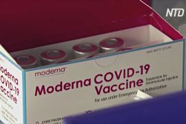 Moderna запевняє в ефективності її вакцини проти нових штамів коронавірусу