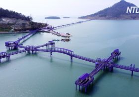Два острови Південної Кореї стали фіолетовими, щоб привабити туристів