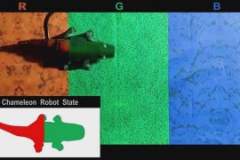 Робот-хамелеон допоможе вдосконалити технологію активного камуфляжу