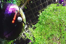 Експо-2020: Сінгапур демонструє роботів озеленювачів