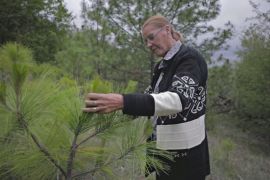 Мексиканка висадила сотні тисяч дерев за 10 років