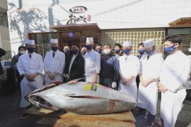 Аукціон тунця блакитного: ціни падають третій рік поспіль