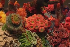 20 тисяч в’язальниць створили кораловий риф із пряжі
