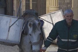 Кінь-сміттєвоз працює в давньому місті в Косові