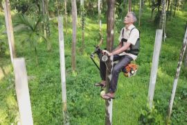 Незвичайний скутер допомагає індійським фермерам підійматися на пальми
