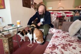 «Котячий тато»: як йорданець рятує бездомних котів