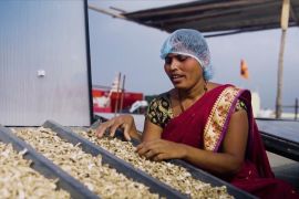 Як сушарки зберігають урожай в Індії