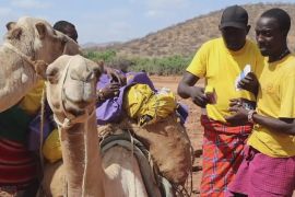 Лікарі на верблюдах: як кенійська клініка допомагає віддаленим селам