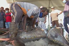 Рибалки на Шрі-Ланці більше не можуть заробити на вилові риби