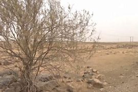Зупинити пустелю: як Йорданія відроджує втрачену землю