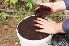 В Албанії фермер полює на кавову гущу