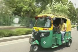 Сервіс по-індійськи: водій доглядає клумбу на даху моторикші