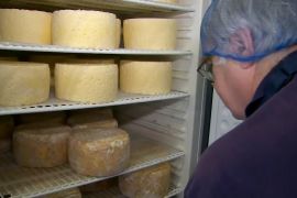 Обійшла Францію: у Великій Британії виготовляють 1600 сортів сиру