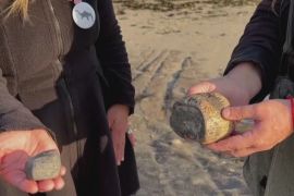 Дві чилійки випадково знайшли рідкісні останки давньої морської рептилії