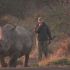 Через 40 років носороги повернулися до Мозамбіку