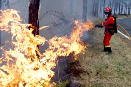 У Валенсії намагаються загасити лісову пожежу