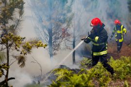 Південь Європи через екстремальну спеку охопили пожежі