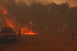 На Лесбосі горять ліси — жителів евакуювали