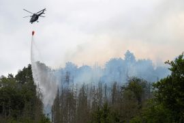 1000 гектарів лісу вже згоріло в заповіднику «Чеська Швейцарія»