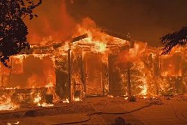 Велику пожежу в Каліфорнії поки не вдається стримати, але секвої в безпеці