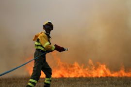 Лісові пожежі в Європі побили рекорд