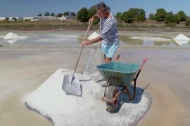 Рекордний урожай солі збирають у Франції через аномальну спеку