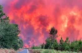 Через пожежі у Франції евакуювали 10 000 осіб, а в Португалії горить заповідник