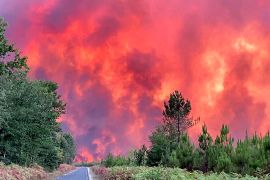 Через пожежі у Франції евакуювали 10 000 осіб, а в Португалії горить заповідник