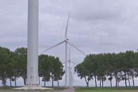 Одна з найбільших вітрових електростанцій запрацювала в Нідерландах