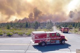 У Каліфорнії палає велика лісова пожежа