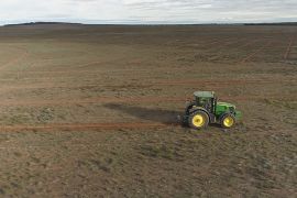 350 тисяч дерев висадять на фермі в Австралії