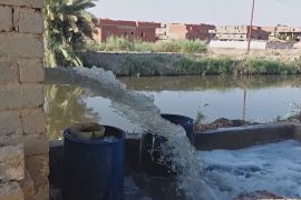 Забруднення вбиває рибу в Єгипті — рибалки змінюють профіль