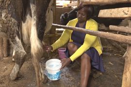 Посуха змушує жителів африканських міст розводити кіз і корів