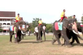 Слони проти школярів: власний Кубок світу провели у Таїланді