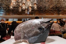 $270 тис. віддали за блакитного тунця на новорічному аукціоні в Японії