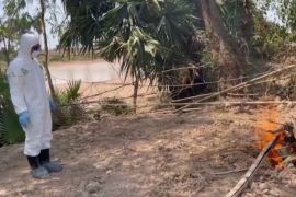 Перший випадок за 9 років: у Камбоджі від пташиного грипу померла дівчинка