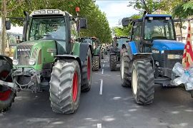 «Тракторний протест»: фермери Каталонії закликали уряд дати їм води