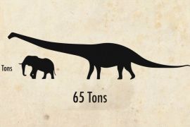 Новий вид гігантського титанозавра вагою 50 тонн відкрили в Аргентині