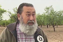 Фермери Іспанії радіють дощу після тривалої посухи