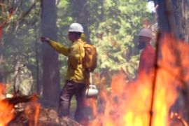 Каліфорнійці вчаться боротися з пожежами за допомогою вогню