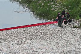 Польщі загрожує нова масова загибель риби в річці Одра