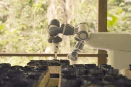 Робот допомагає відновлювати амазонські джунглі
