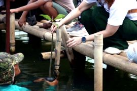 Туристи сіють насіння надії для Джакарти, яка йде під воду