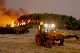 У Греції спалахнули десятки лісових пожеж
